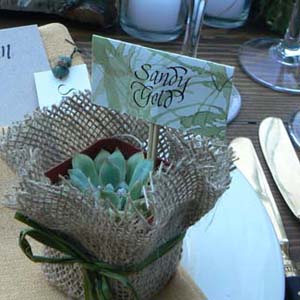 weddings