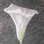 pencil
