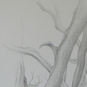 pencil