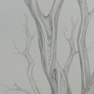 pencil